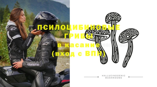 прущие грибы Армянск